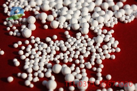 ���������X�ķN�(l��i)