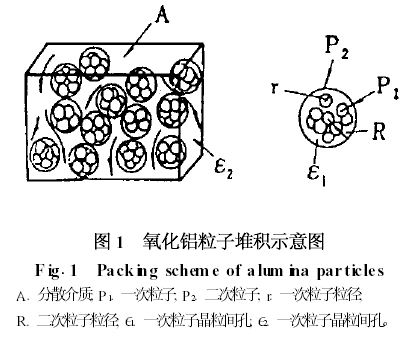 ���������X�׵����N���
