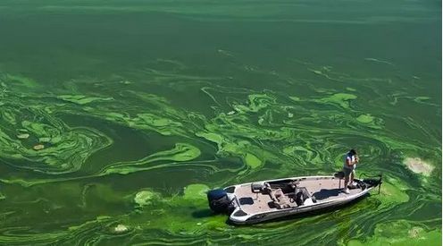 �������I�B(y��ng)��